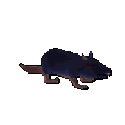 grey 3d model of a rat spinning