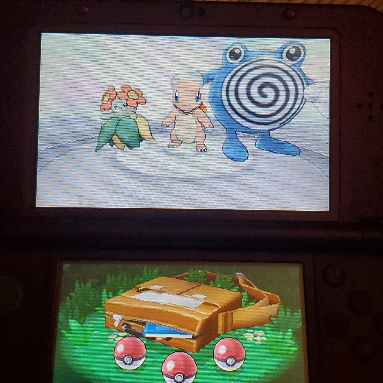 bellossom, charmander, and poliwhirl as pokemon starters