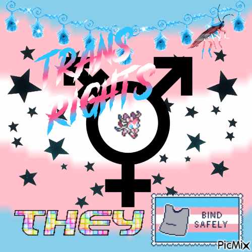 trans flag with the trans symbols and black stars over top of it. it says TRANS RIGHTS! as well as THEY bind safely. there is also a trans-colored dancing cockroach