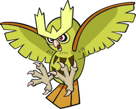 noctowl