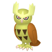 noctowl