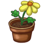 flower pot